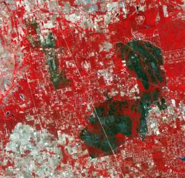 The tri-county Riley Road wildfire burning in Texas north of Houston was 85 percent contained when NASA's Terra spacecraft acquired this image on Sept. 12, 2011. Burned areas are dark gray and black; vegetation red; and bare ground and roads light gray.