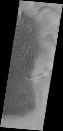 This image from NASA's 2001 Mars Odyssey spacecraft shows part of the sand sheet and dunes on the floor of Rabe Crater.