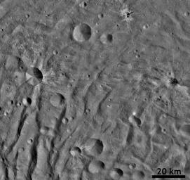 This image from NASA's Dawn spacecraft shows many fresh craters, several with bright ejecta rays, which were formed by impacts into the floor of asteroid Vesta's south polar basin.