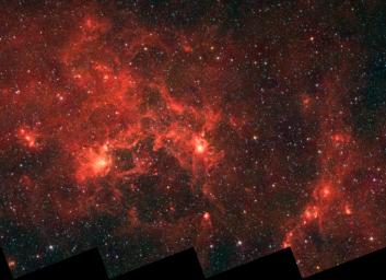 This infrared image from NASA's Spitzer Space Telescope shows the nebula nicknamed 'the Dragonfish.' This turbulent region, jam-packed with stars, is home to some of the most luminous massive stars in our Milky Way galaxy.