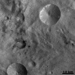 In this image from NASA's Dawn spacecraft, a number of small dark areas, mostly clustered in the center and left of the image, are visible in asteroid Vesta's cratered landscape. A lot of these dark patches are small impact craters.
