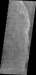 Winds have scoured this region of Elysium Planitia, sculpting the surface into the small parallel hills seen in this image from NASA's 2001 Mars Odyssey spacecraft.