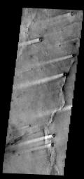 The windstreaks in this image from NASA's 2001 Mars Odyssey spacecraft are located in Syrtis Major Planum between Nili and Meroe Paterae.