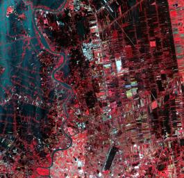 Flooding from the Chao Phraya River, Thailand, had begun to ebb in this image acquired by NASA's Terra spacecraft on Nov. 1, 2011. Here, in blue-gray is the muddy water that had overflowed the banks of the river, flooding agricultural fields and villages.