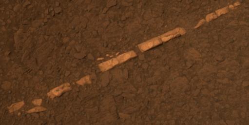 This color view from NASA's Mars Exploration Rover Opportunity of a mineral vein called 'Homestake' and is found to be rich in calcium and sulfur. 'Homestake' is near the edge of the 'Cape York' segment of the western rim of Endeavour Crater.