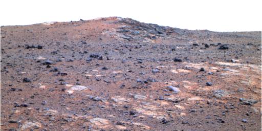 The feature informally named 'Shoemaker Ridge' in the 'Cape York' segment of the western rim of Endeavour Crater includes outcrops that are likely impact breccias as seen by NASA's rover Opportunity.