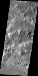 Gullies are visible in this image of the northern rim of Holden Crater as seen by NASA's 2001 Mars Odyssey spacecraft.