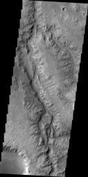 This unnamed as seen by NASA's 2001 Mars Odyssey spacecraft channel drains part of Margaritifer Terra.