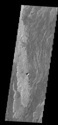 Extensive lava flows originating from Arsia Mons created Daedalia Planum. This image is from NASA's 2001 Mars Odyssey spacecraft.