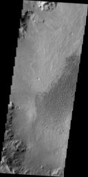 These dunes are located on the floor of an unnamed crater south of Vinogradov Crater. This image was captured by NASA's 2001 Mars Odyssey spacecraft.
