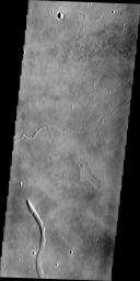 This image from NASA's 2001 Mars Odyssey spacecraft shows part of the eastern flank of Elysium Mons. The small channels were likely created due to the flow of lava, rather than water.