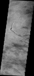 The small channels seen in this image from NASA's 2001 Mars Odyssey spacecraft are lava channels just southeastern of Pavonis Mons.