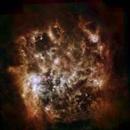 This image shows the Large Magellanic Cloud galaxy in infrared light as seen by ESA's Herschel Space Observatory and NASA's Spitzer Space Telescope. The brightest center-left region is called 30 Doradus, or the Tarantula Nebula.