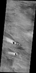 The windstreaks in this image captured by NASA's 2001 Mars Odyssey spacecraft are located on the volcanic plains northeast of Olympus Mons.
