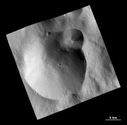 This image from NASA's Dawn spacecraft shows a large crater with several smaller craters at the edge on the giant asteroid Vesta. Rough texture in the crater wall at far right may be the underlying bedrock.