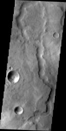 The unnamed channel in this image captured by NASA's 2001 Mars Odyssey spacecraft is located southeast of Tikhonravov Crater in Terra Sabaea.