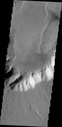 This image from NASA's 2001 Mars Odyssey spacecraft shows lava flows terminating at the foot of canyon walls in Echus Chasma. These lava flows are also fractured into large plates in this region.