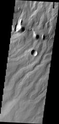 The parallel channels seen in this image NASA's 2001 Mars Odyssey spacecraft captured by are dissecting the flanks of Apollinaris Mons, a large volcano north of Gusev Crater.