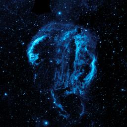 Wispy tendrils of hot dust and gas glow brightly in this ultraviolet image of the Cygnus Loop nebula, taken by NASA's Galaxy Evolution Explorer. The nebula lies about 1,500 light-years away.
