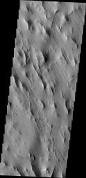 A complexly fractured region, called Lycus Sulci, is found on the western side of Olympus Mons. This image captured by NASA's 2001 Mars Odyssey spacecraft in located in part of Lycus Sulci.