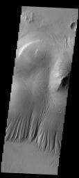 There is a large deposit of material on the floor of Nicholson Crater, as seen in this image from NASA's 2001 Mars Odyssey spacecraft. This pile of material appears to be undergoing erosion by the wind.