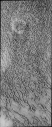 More dunes are encountered surrounding the north polar cap by NASA's 2001 Mars Odyssey spacecraft.
