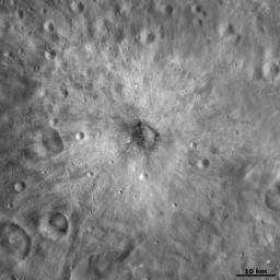This image from NASA's Dawn spacecraft is centered on asteroid Vesta's Vibidia crater. There is a distinctive distribution of bright and dark material around Vibidia crater.