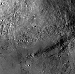 This image from NASA's Dawn spacecraft shows an interior wall and southern terrace of Marcia crater on Vesta. Relatively smooth material covers much of the terrace and has flowed downslope (toward the top of the image) through channels.