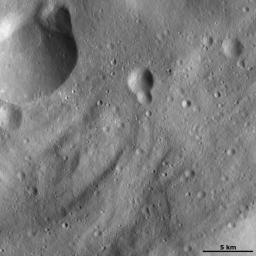 This image of asteroid Vesta from NASA's Dawn spacecraft shows many curved ridges that are typical of Vesta's southern hemisphere. This image is located in Vesta's Sextilia quadrangle, in Vesta's southern hemisphere.