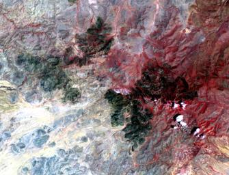 The Livermore and Spring Ranch fires near the Davis Mountain Resort, Texas, burned 13,000 and 11,000 acres respectively. When NASA's Terra spacecraft acquired this image on May 12, 2012, both fires had been contained.