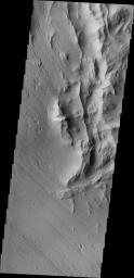 This image from NASA's 2001 Mars Odyssey spacecraft is of Lycus Sulci, located on the western side of Olympus Mons and dominated by multi-direction ridges which contains material less resistant than the ridges to the effects of wind.