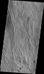This small channel is located on the western flank of Alba Mons. This image is from NASA's 2001 Mars Odyssey spacecraft.