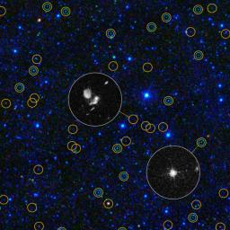 This zoomed-in view of a portion of the all-sky survey from NASA's Wide-field Infrared Survey Explorer shows a collection of quasar candidates (shown in yellow circles). Quasars are supermassive black holes feeding off gas and dust.
