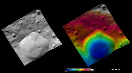 These apparent brightness and topography images from NASA's Dawn spacecraft are located in asteroid Vesta's Floronia quadrangle, in Vesta's northern hemisphere.