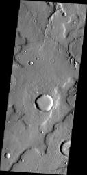 The small unnamed channels in this image captured by NASA's 2001 Mars Odyssey spacecraft are located on the northeastern margin of Tempe Terra.