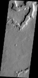 Multiple channels in this image from NASA's 2001 Mars Odyssey dissect this region on the margin of Terra Sabaea on Mars.