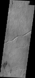 The channels in this image captured by NASA's Mars Odyssey spacecraft were created by the flow of lava. This image shows part of the region between Pavonis and Ascraeus Mons on Mars. 