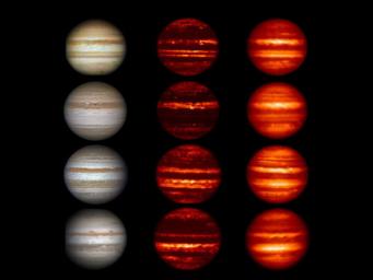 In these images obtained by amateur astronomers, Jupiter can be seen 'losing' a brown-colored belt south of the equator called the South Equatorial Belt (SEB) from 2009 to 2010.