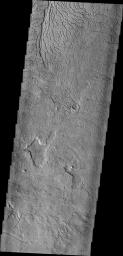 The arcuate fractures and depressions in this image captured by NASA's Mars Odyssey spacecraft are part of Avernus Cavi.