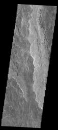 The volcanic flows in this image captured by NASA's Mars Odyssey spacecraft are part of Daedalia Planum, an extensive flow field originating from Arsia Mons.