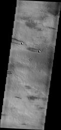 This image captured by NASA's 2001 Mars Odyssey spacecraft shows windstreaks on the volcanic plains of Daedalia Planum.