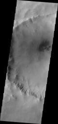 Several gullies of different sizes in this image from NASA's Mars Odyssey spacecraft are located on the southern rim of this unnamed crater in Terra Cimmeria.