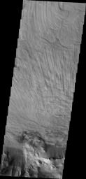 The finely ridged material in this image captured by NASA's 2001 Mars Odyssey spacecraft are huge landslide deposits called Coprates Labes. These landslide deposits are located on the floor of Coprates Chasma.