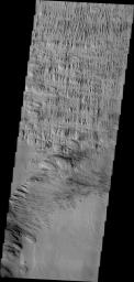 Wind has played a large role in sculpting the complex features in this image captured by NASA's 2001 Mars Odyssey spacecraft. This image is located north of Gusev Crater.