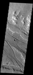 This image captured by NASA's 2001 Mars Odyssey spacecraft shows the complex region where Ladon Valles enters a topographic low in Margaritifer Terra.