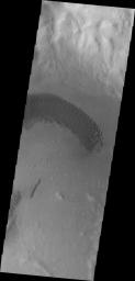 An arc of dunes covers part of the floor of this unnamed crater in Aonia Terra, as shown in this image captured by NASA's 2001 Mars Odyssey spacecraft.