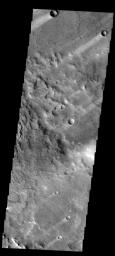The windstreaks in this image captured by NASA's 2001 Mars Odyssey spacecraft are located in Terra Sabaea.