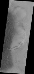 The sand sheet and dune forms in this image from NASA's Mars Odyssey spacecraft are located on the floor of Rabe Crater.