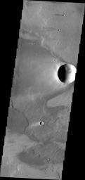 The windstreaks in this image from NASA's 2001 Mars Odyssey spacecraft are located on the volcanic plains of Daedalia Planum.
