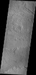 This image from NASA's 2001 Mars Odyssey spacecraft shows some of the extensive volcanic flows east of the large Tharsis volcanoes.